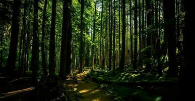 verbazingwekkend natuur behang foto