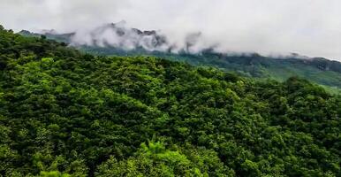 verbazingwekkend natuur behang foto