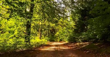 verbazingwekkend natuur behang - mooi landschap foto