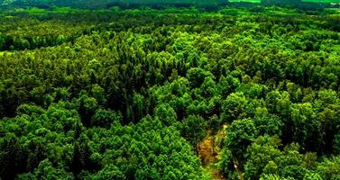 verbazingwekkend natuur behang - mooi landschap foto