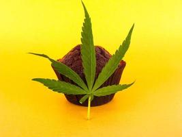 chocolade muffin cake met marihuana op gele achtergrond foto