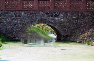 Polen birike brug foto