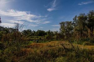 Spaans landschap door de gallego rivier- in aragon Aan een warm zomer zon dag met groen bomen en blauw luchten foto