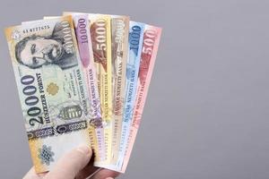 Hongaars geld Aan een grijs achtergrond foto