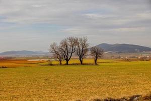 sereen minimalistische landschap aragon Spanje in winter dag foto