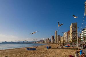 landschap van benidorm Spanje in een zonnig dag Aan de kust met meeuwen foto