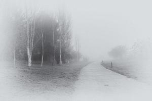 l kalmte landschap met weg in nevelig grijs winters dag foto