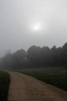 l kalmte landschap met weg in nevelig grijs winters dag foto