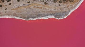 luchtfoto drone top-down foto van een natuurlijk roze meer en kust Genichesk, Oekraïne. het meer wordt van nature roze door zouten en kleine artemia in het water. dit wonder is zeldzaam.