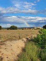 zomer landelijk landschap Aan een zomer dag met een kleurrijk regenboog in de blauw lucht foto