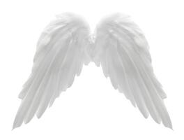 wit engel Vleugels geïsoleerd Aan wit achtergrond. generatief ai. foto