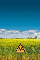 vredig landschap met blauw lucht en geel tarwe veld- gemarkeerd met een teken van nucleair oorlog straling bedreiging met kopiëren ruimte achtergrond. concept oorlog in Oekraïne, potentieel nucleair wereld oorlog. foto