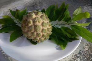 hand- geplukt cherimoya foto