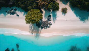 antenne dar foto van golven crashen Aan de strand. top visie antenne dar schot van mooi wit zand strand met groen kokosnoot bomen en kristal Doorzichtig zee water in zomer. generatief ai