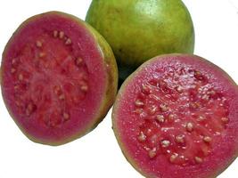 guava fruit, roze, vers, geïsoleerd Aan wit achtergrond. voorkant visie. foto