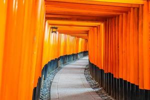 torii-poorten bij het fushimi inari-heiligdom in kyoto, japan foto