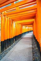 torii-poorten bij het fushimi inari-heiligdom in kyoto, japan foto