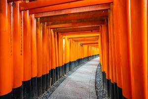 torii-poorten bij het fushimi inari-heiligdom in kyoto, japan foto