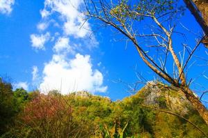 mooi landschap van rotsachtig kalksteen berg en groen Woud met blu lucht Bij Chiang doa nationaal park in Chiang Mai, Thailand foto