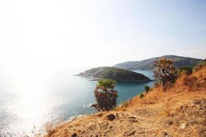 mooi zeegezicht met lucht schemering van zonsondergang en palm boom met droog gras veld- Aan berg van phrom de P kaap in phuket eiland, Thailand. foto