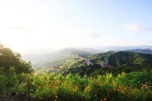 antenne visie heuvel stam dorp en thee plantage in zonsopkomst Aan de berg en Woud is heel mooi bloemen weide in chiangrai provincie, Thailand foto