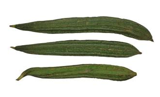 sommige groen luffa acutangula's of oyong geïsoleerd Aan wit achtergrond foto