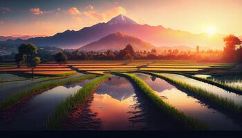 de schoonheid van de ochtend- panorama met zonsopkomst en rijst- velden. rijst- veld- in platteland. mooi goud kleur zonsondergang Bij rijst- veld. generatief ai. foto