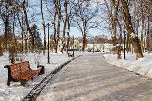 leeg banken gedekt met sneeuw in winter park foto