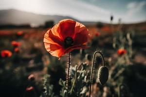 polly bloem in de wild boeiend fotografie van een mooi en bijzonder bloesem foto