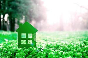 klein groen huis Aan mooi gazon in zon schittering tegen ver weg Woud bomen. eco huis concept foto
