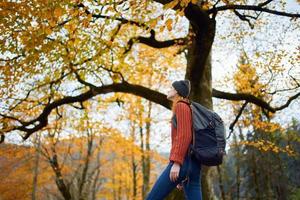 een vrouw in een rood trui met een rugzak wandelingen in een herfst park in de middag in natuur foto