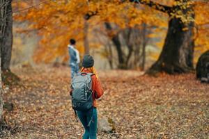 vrouw met een rugzak zijn wandelen in de herfst Woud in natuur landschap bomen voorbijgangers model- foto