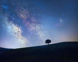 galactisch centrum van de Melkweg met een boomsilhouet op een weiland