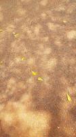 achtergrond foto van meerdere geel bladeren verspreide Aan bruin grond