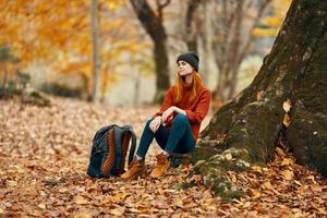 vrouw zittend in de buurt een boom in herfst Woud en vallend bladeren landschap park foto