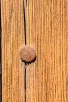 een nagel gehamerd in hout foto