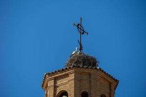 ooievaar nest Aan de kerk toren tegen een blauw lucht met vogelstand foto