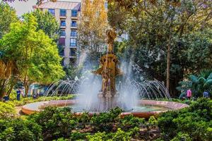 stedelijk zomer landschap van Alicante fuente la water met foto en bomen in Spanje