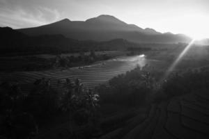 mooi ochtend- visie Indonesië. panorama landschap rijstveld velden met schoonheid kleur en lucht natuurlijk licht foto