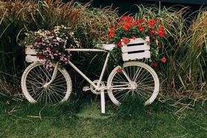 fiets versierd met rood geraniums decoratie in de tuin foto