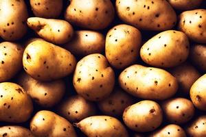 detailopname aardappelen, generatief ai foto