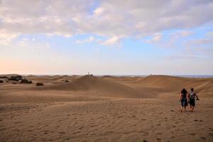 toneel- woestijn landschap foto