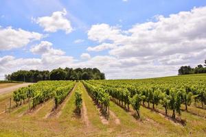 toneel- landelijk landschap foto