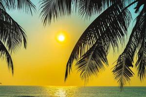 silhouet van een palmboom foto