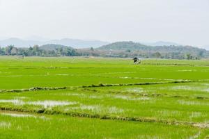 toneel- landelijk landschap foto