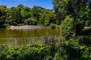 zomer landschap met een vijver saski tuin Warschau Polen groen bomen warm dag foto