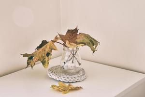 herfst eik blad in een glas schotel staand Aan een wit tafel foto