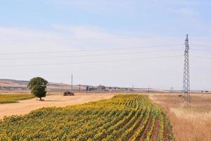 toneel- landelijk landschap foto