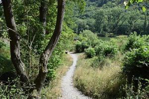 versmallen wandelen spoor in zomer foto