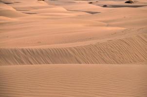 toneel- woestijn landschap foto